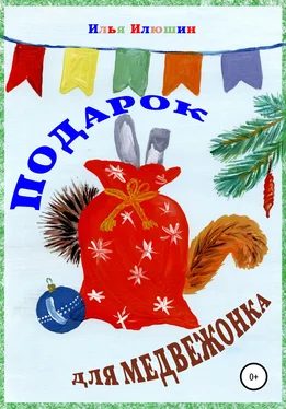 Илья Илюшин Подарок для медвежонка обложка книги