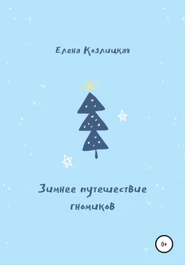 Елена Козлицкая Зимнее путешествие гномиков обложка книги