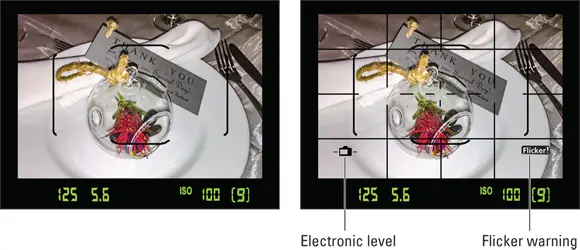 FIGURE 123The default viewfinder display left can be customized to include - фото 23