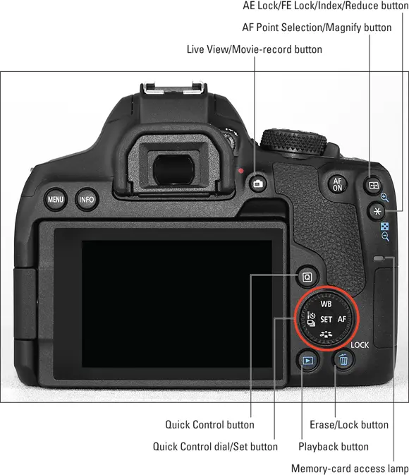 Canon EOS Rebel T8i850D For Dummies - изображение 12