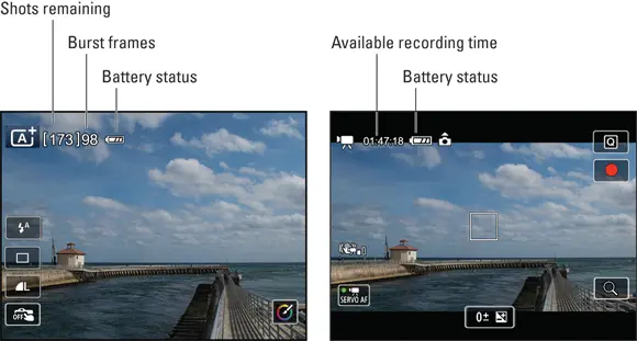 FIGURE 126Heres a look at the default Live View display for Scene - фото 24