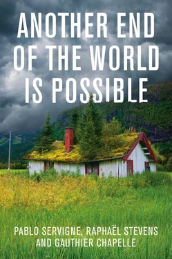 Pablo Servigne Another End of the World is Possible обложка книги