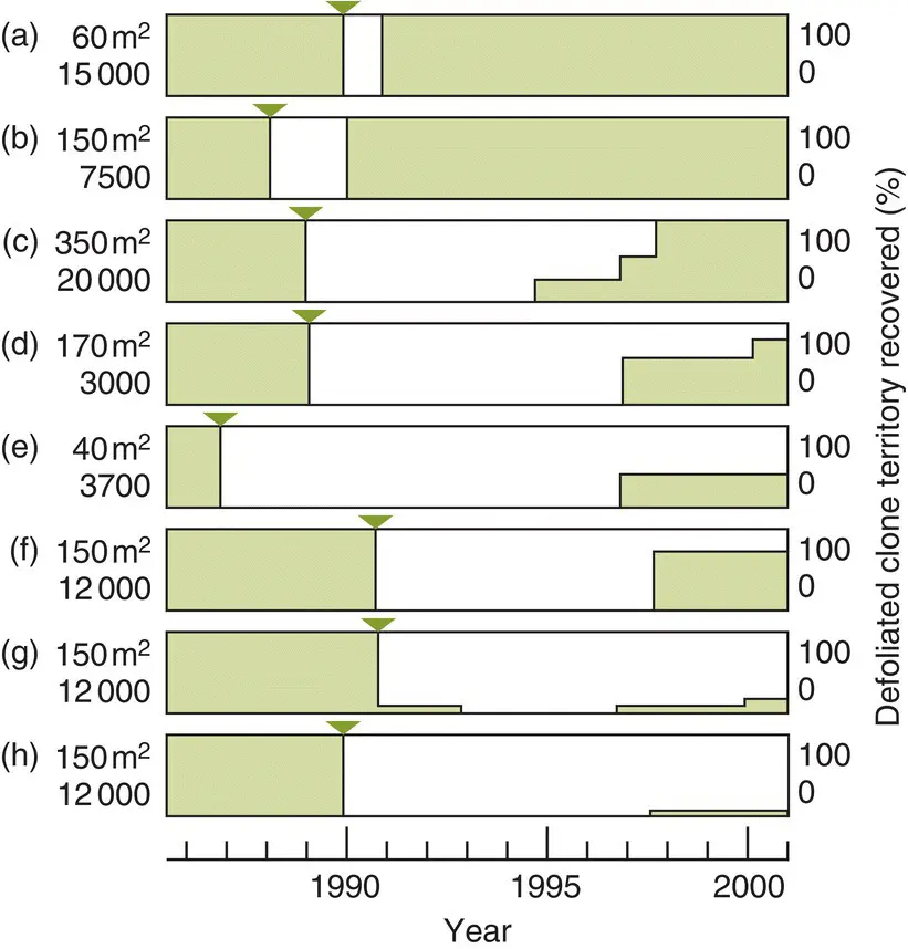 Figure 48 Dormancy in goldenrods is enforced by defoliationThe histories of - фото 110