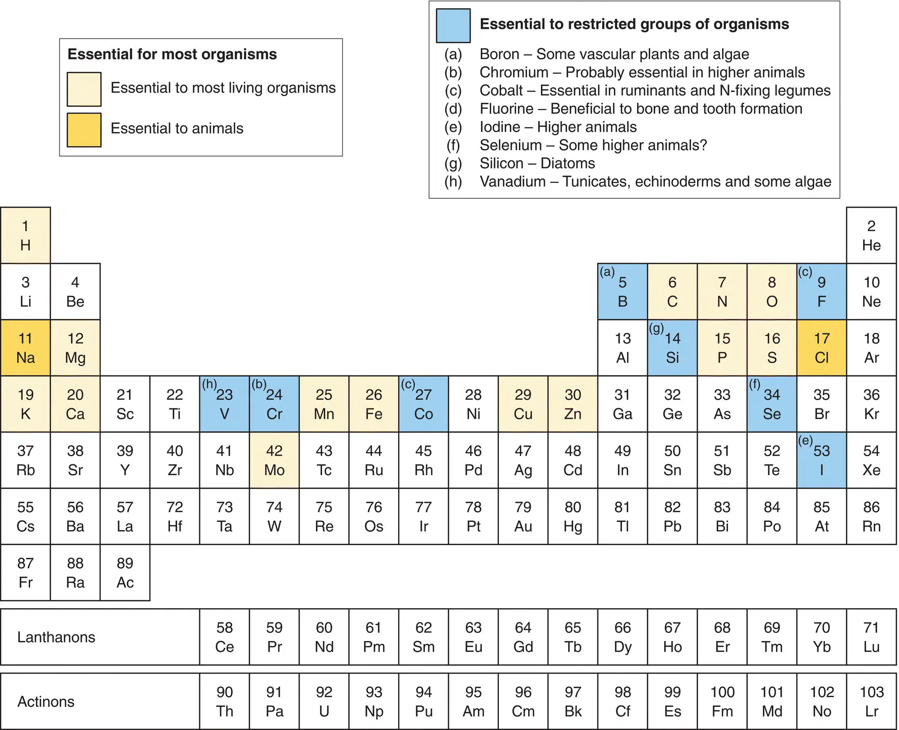 Figure 325 Periodic table of the elements showing those that are essential - фото 83