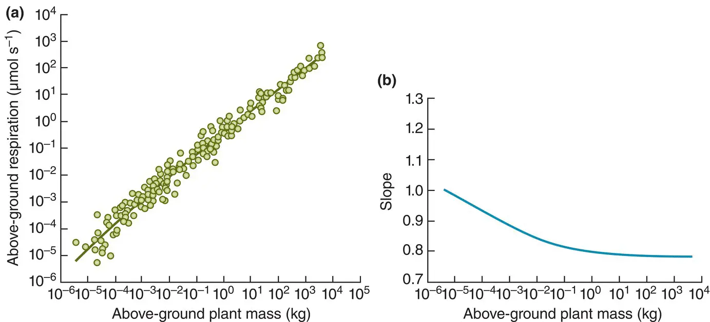 Figure 334 The allometric exponent of metabolism in plants decreases with - фото 100