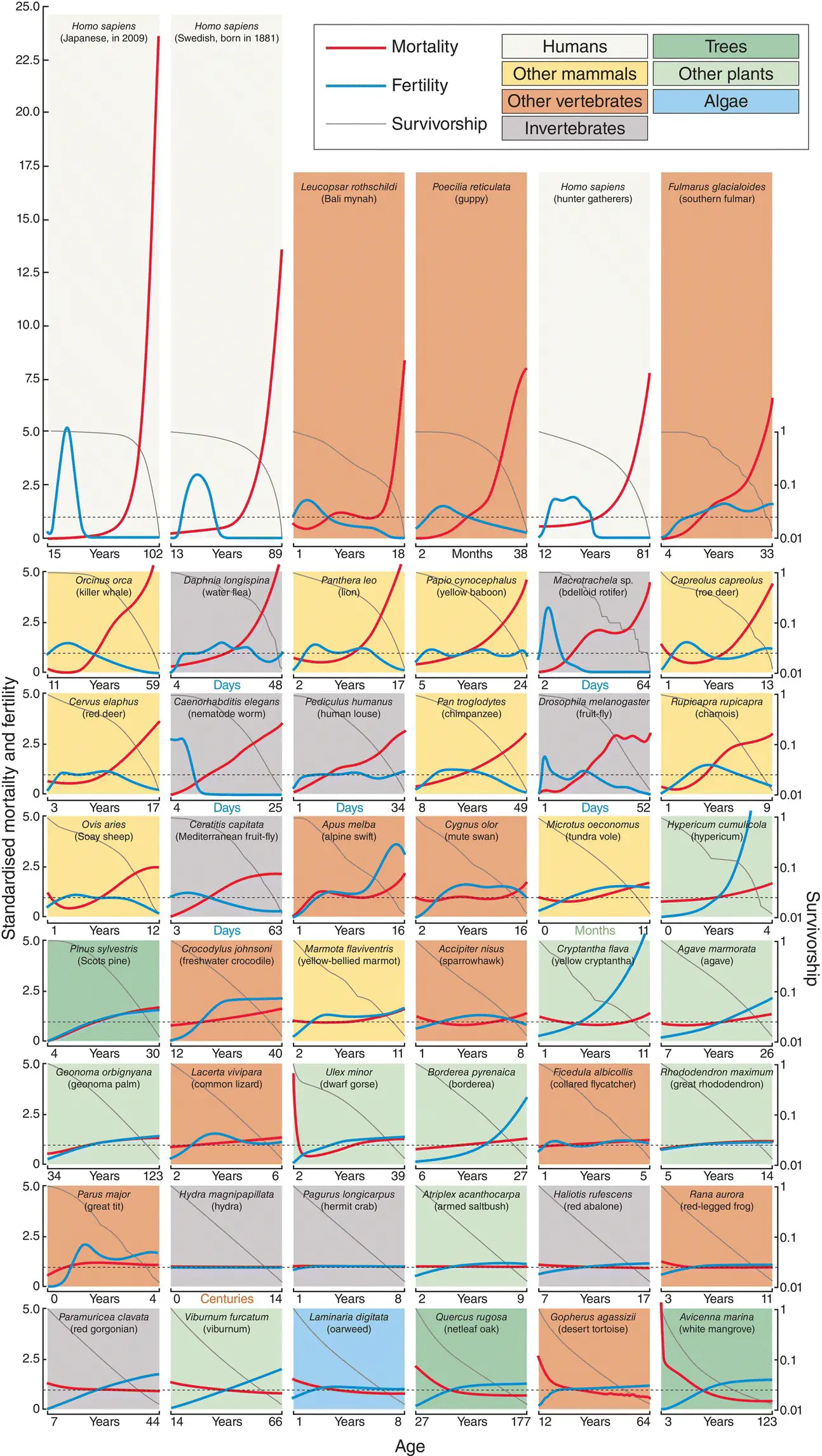 Figure 42 Compilation of patterns of mortality survivorship and reproduction - фото 104