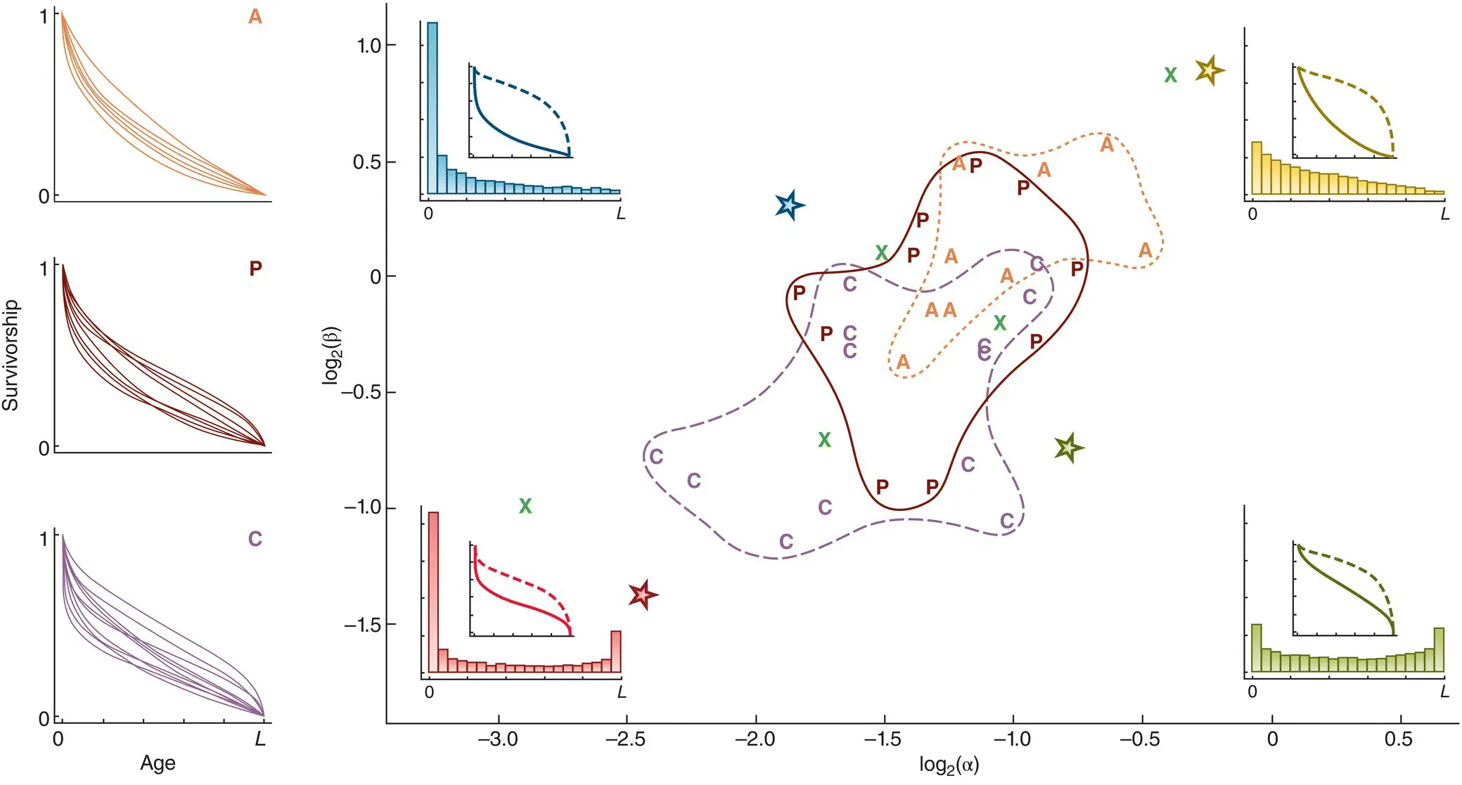 Figure 412 Distribution of the shapes of survivorship curves for 37 species of - фото 118