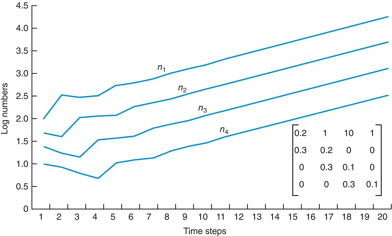 Figure 416 Populations with constant rates of survival and fecundity - фото 145