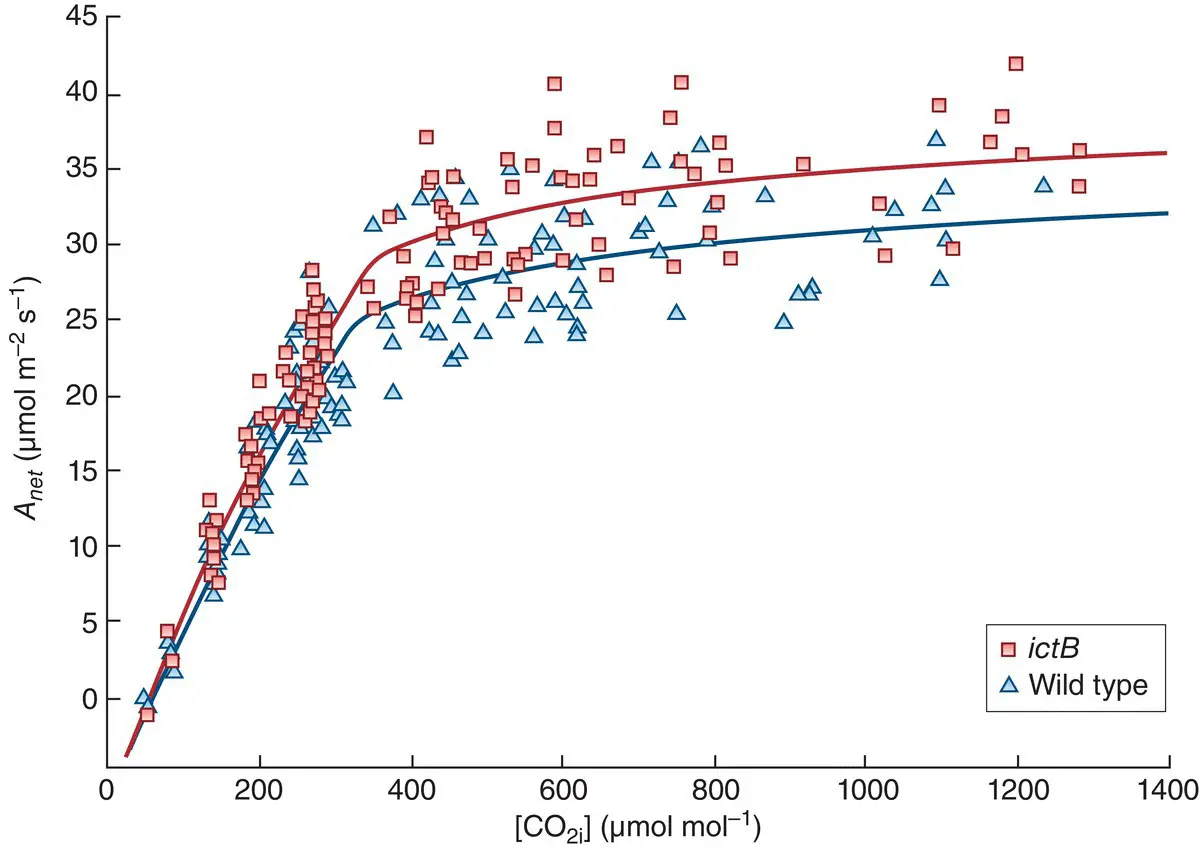 Figure 319 Bioengineering of a gene from cyanobacteria into soybean increases - фото 77