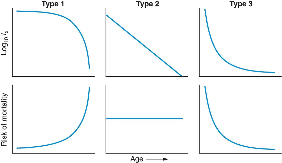 Figure 411 Classification of survivorship curvesplotting log l x against - фото 117