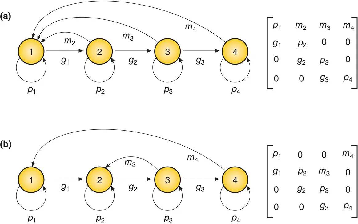 Figure 415 Life cycle graphs and population projection matrices for two - фото 142