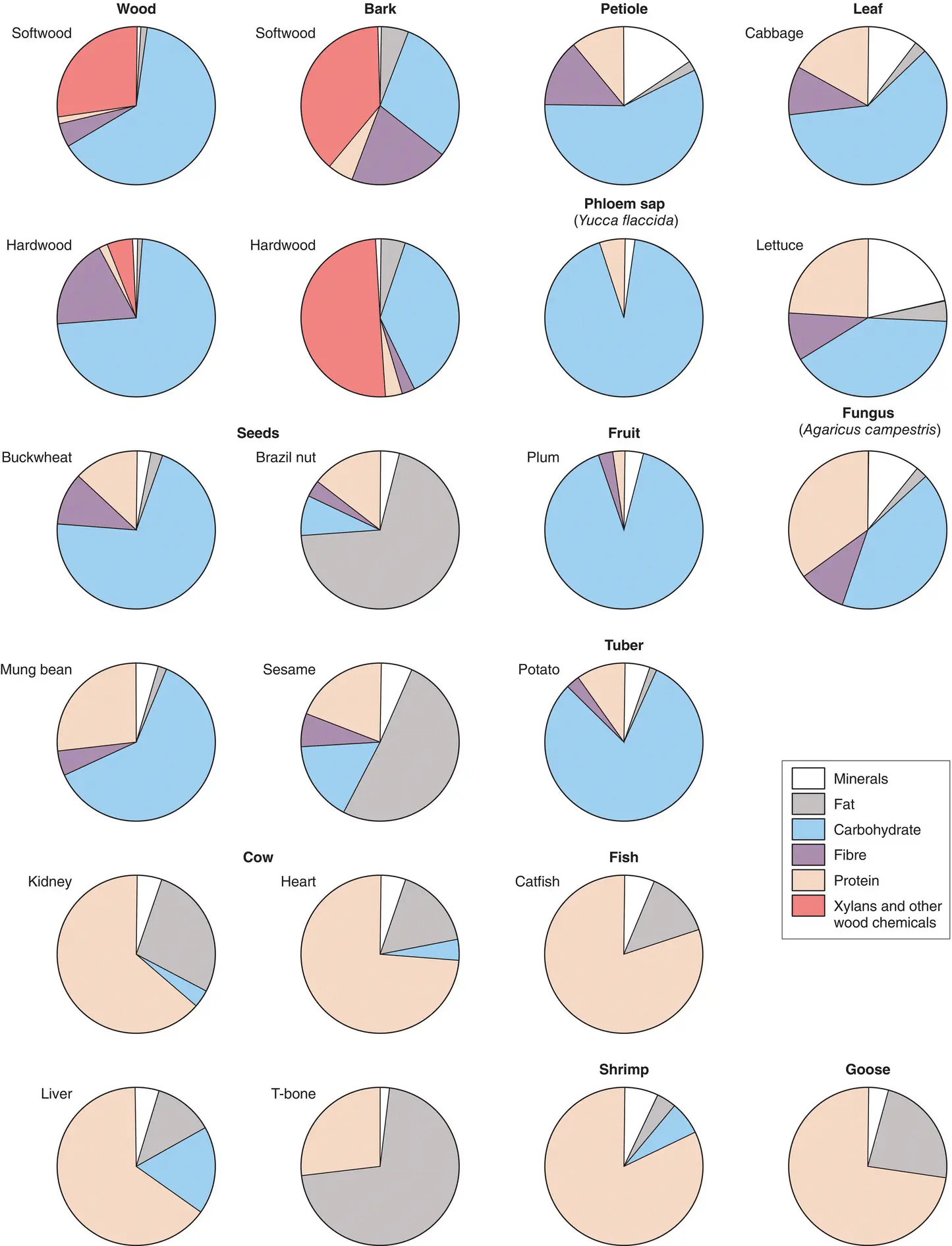 Figure 329 The composition of various plant parts and of the bodies of animals - фото 87