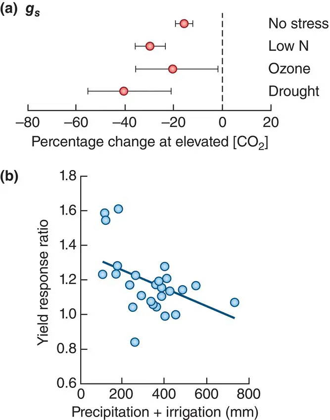 Figure 322 Stomatal conductance is decreased by enhanced CO 2 concentrations - фото 80