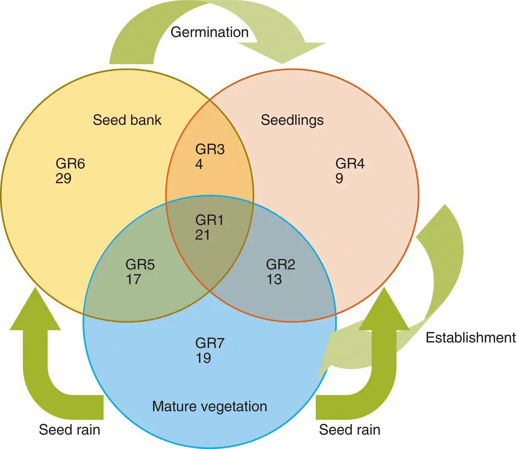 Figure 47 The composition of seed banks can be very different from the - фото 109