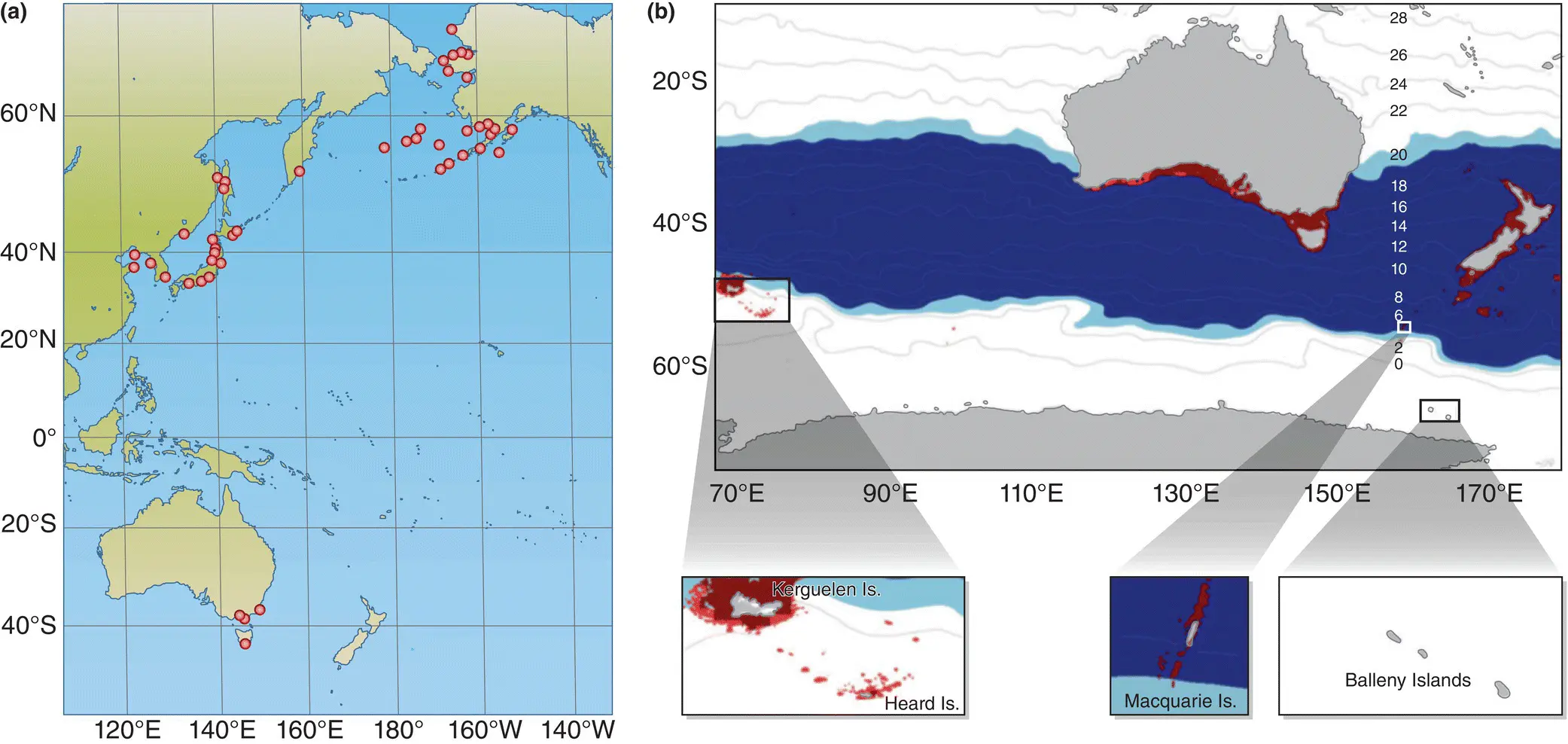 Figure 25 Modelling the potential range of an invasive starfisha Current - фото 33