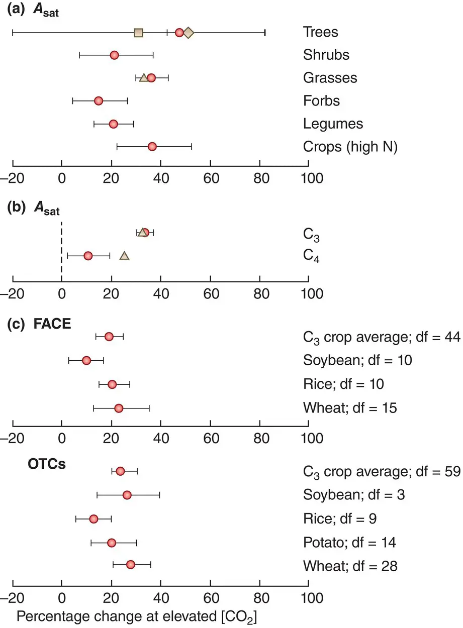 Figure 321 Photosynthetic activity is increased by enhanced CO 2 - фото 79
