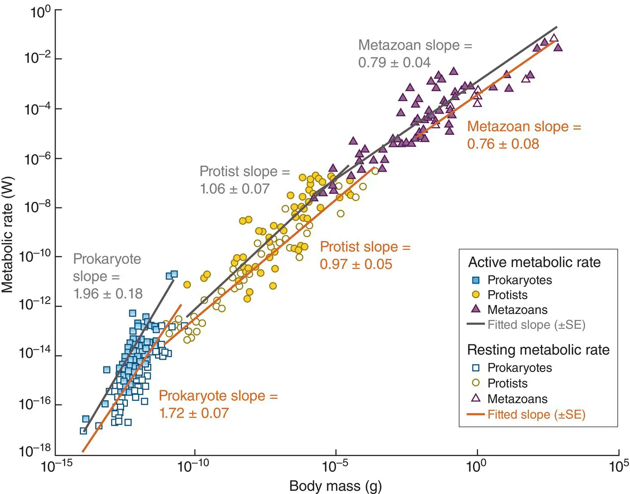 Figure 333 Relationships between metabolic rate and body mass for - фото 99