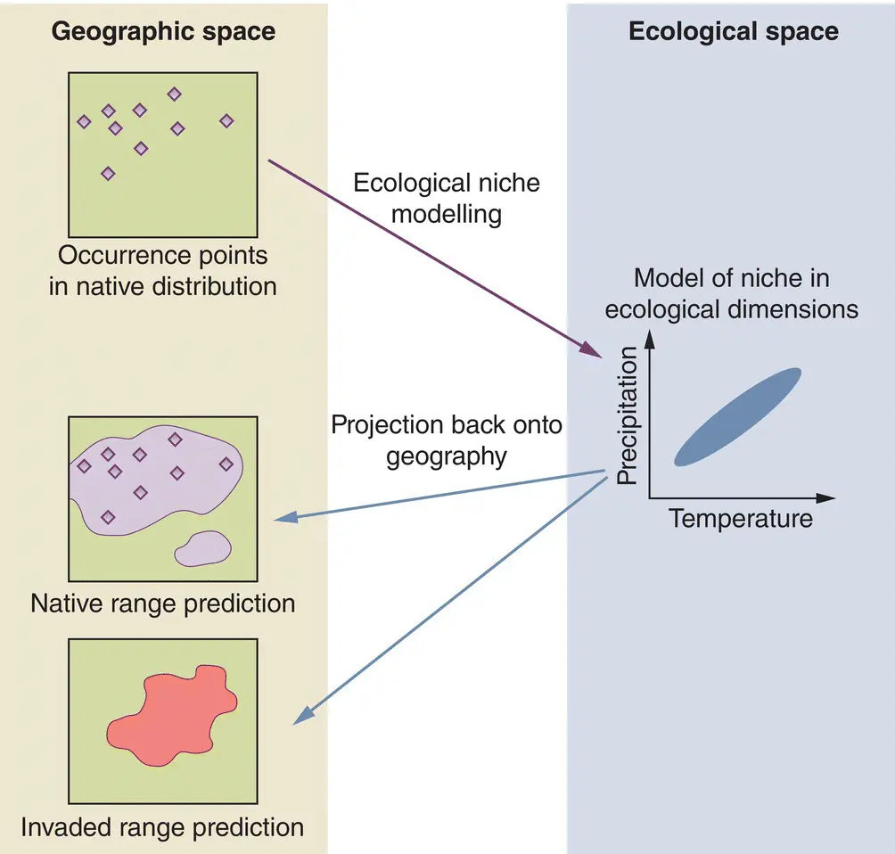 Figure 24 Ecological niche modellingThe first step is to characterise a - фото 32