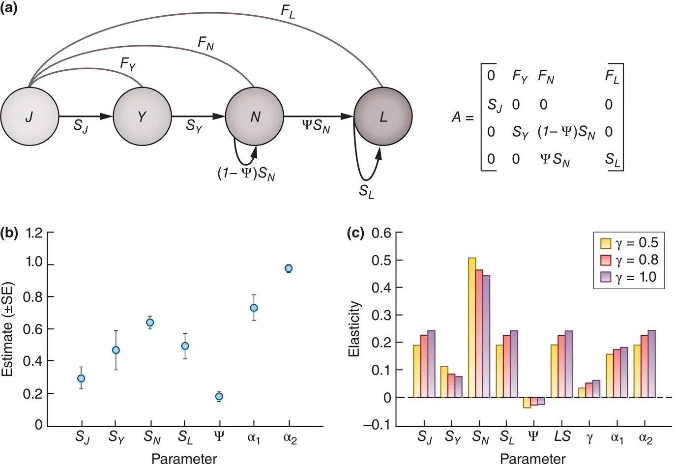 Figure 419 Elasticity analyses can guide the management of armadillo - фото 148