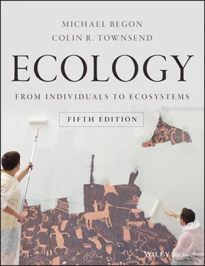 Michael Begon Ecology обложка книги