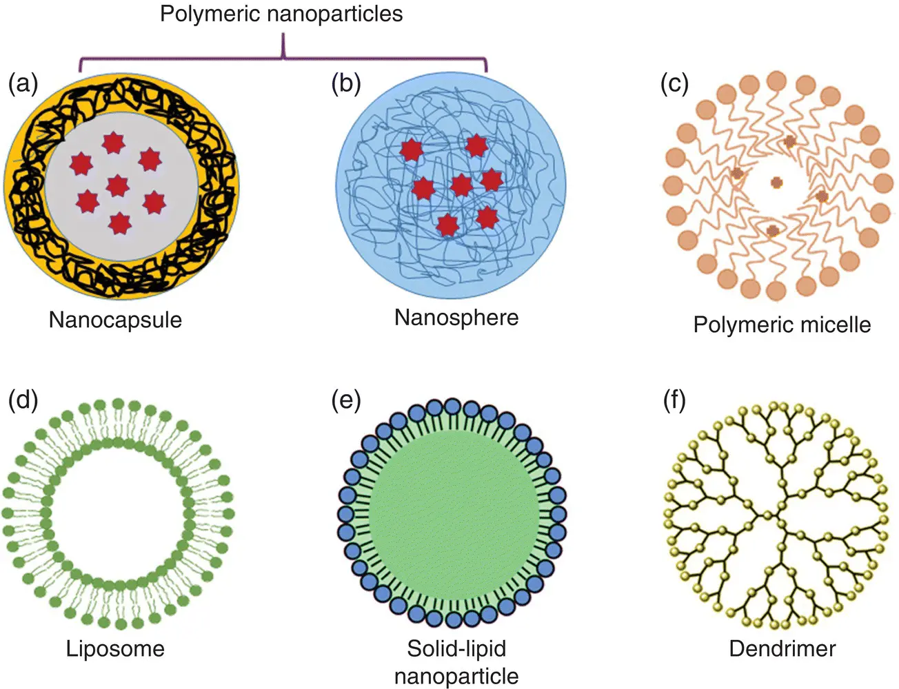 Figure 12 Schematic representation of various organic nanomaterials 1222 - фото 3