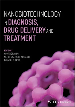 Неизвестный Автор Nanobiotechnology in Diagnosis, Drug Delivery and Treatment обложка книги