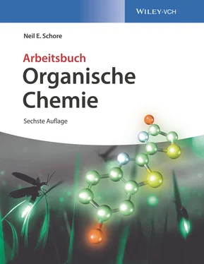 Neil E. Schore Organische Chemie обложка книги