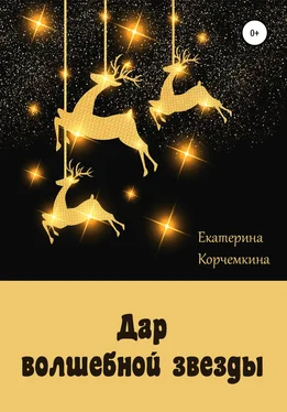 Екатерина Корчемкина Дар волшебной звезды обложка книги