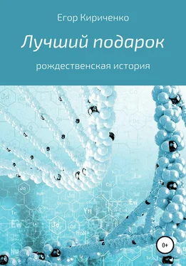 Егор Кириченко Лучший подарок обложка книги