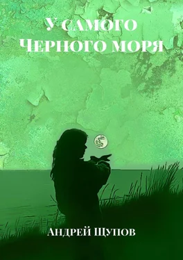 Андрей Щупов У самого Черного моря обложка книги