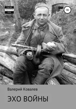 Валерий Ковалев Эхо войны обложка книги