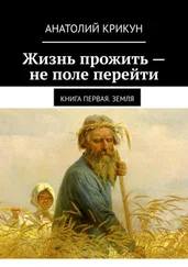 Анатолий Крикун - Жизнь прожить – не поле перейти. Книга первая. Земля