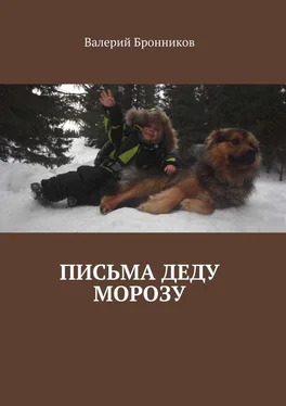 Валерий Бронников Письма деду Морозу обложка книги