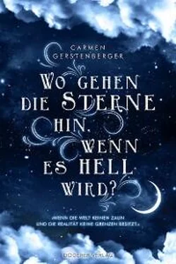 Carmen Gerstenberger Wo gehen die Sterne hin, wenn es hell wird? обложка книги