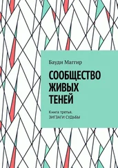Бауди Маггир - Сообщество живых теней. Книга третья. Зигзаги судьбы