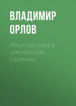 Владимир Орлов Происшествие в Никольском (сборник) обложка книги