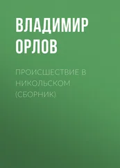 Владимир Орлов - Происшествие в Никольском (сборник)