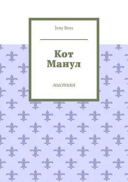 Jeny Boss Кот Манул. Мистика обложка книги