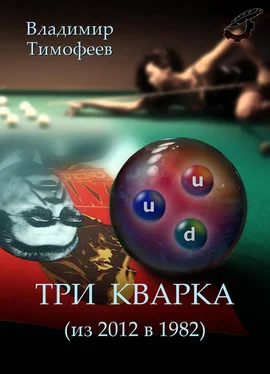 Владимир Тимофеев Три кварка (из 2012 в 1982) обложка книги