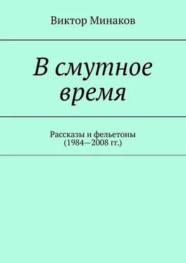 Виктор Минаков В смутное время. Рассказы и фельетоны (1984—2008 гг.) обложка книги