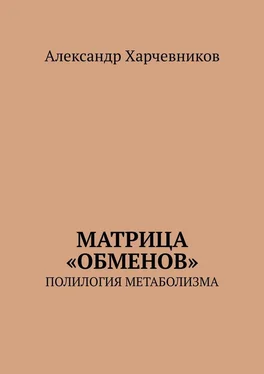 Александр Харчевников Матрица «обменов». Полилогия метаболизма обложка книги