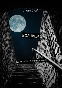 Лили Скай Волчица. До встречи в полнолуние обложка книги