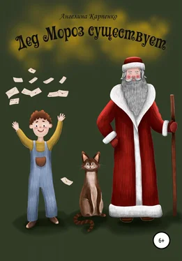 Ангелина Карпенко Дед Мороз существует обложка книги