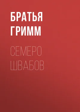 Якоб и Вильгельм Гримм Семеро швабов обложка книги