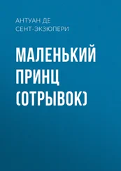 Антуан де Сент-Экзюпери - Маленький принц (отрывок)