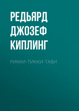 Редьярд Джозеф Киплинг Рикки-Тикки-Тави обложка книги