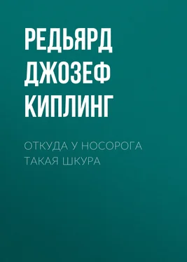 Редьярд Джозеф Киплинг Откуда у носорога такая шкура обложка книги