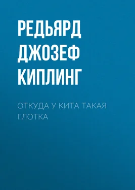 Редьярд Джозеф Киплинг Откуда у кита такая глотка обложка книги