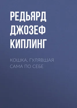 Редьярд Джозеф Киплинг Кошка, гулявшая сама по себе обложка книги