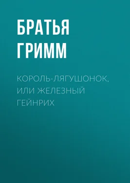 Якоб и Вильгельм Гримм Король-лягушонок, или Железный Гейнрих обложка книги